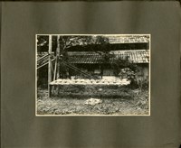 《王助相簿》沙袋法藏品圖，第1張