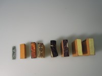 成功大學歷年系主任與所長章藏品圖，第2張