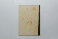 民國45年9月學生假期實習報告書藏品圖，第19張