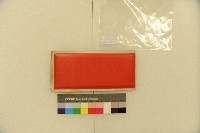 應變規藏品圖，第4張