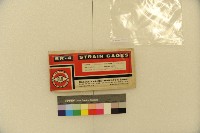 應變規藏品圖，第3張