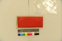 應變規藏品圖，第4張