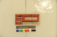 應變規藏品圖，第3張