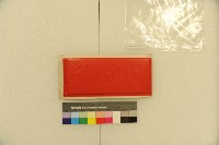 應變規藏品圖，第4張