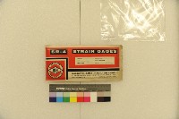 應變規藏品圖，第3張