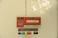 應變規(已拆封)藏品圖，第10張