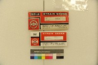 應變規(已拆封)藏品圖，第12張