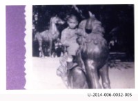 朱安燕英文書信藏品圖，第19張