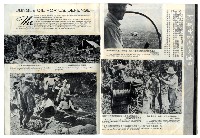勝利之光─第36期藏品圖，第26張