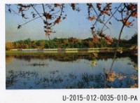 澄清湖風景明信片套組藏品圖，第10張