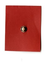 成大山協國父逝世大凍山紀念徽章藏品圖，第2張