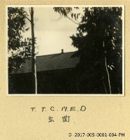 T.T.C.M.E.D玄關藏品圖，第2張