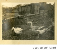 中學入學時藏品圖，第1張