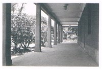 物理系館前的廊道藏品圖，第1張