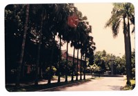 成功大學數學系館藏品圖，第1張