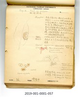 植物病理學實驗手繪圖-咖啡銹病(1)藏品圖，第1張