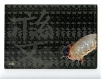 《成大青年》第六十九期藏品圖，第2張