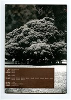 《成大青年》第七十一期（2008年出版）藏品圖，第2張