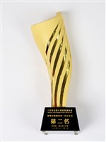 110年度全大運橄欖球團體錦標一般女生組第二名獎座藏品圖，第1張