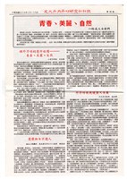 《成大外丹功社社訊》第二期藏品圖，第8張