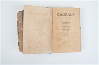 《Calculus》藏品圖，第3張