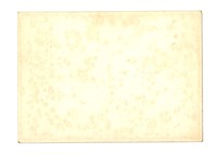 西格瑪社—草地聚會藏品圖，第2張