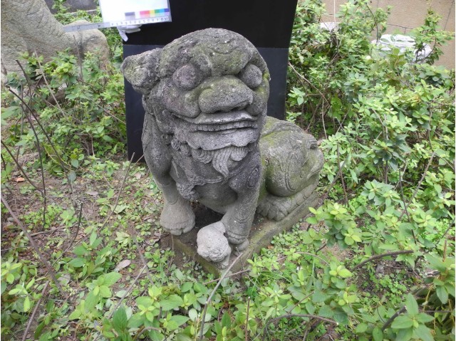 石獅的圖片
