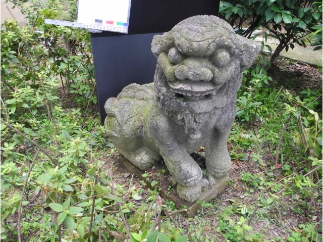 石獅的圖片