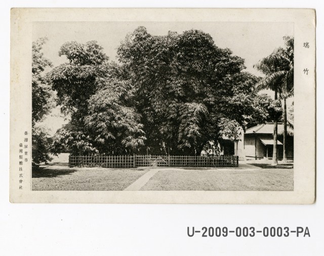 Auspicious Bamboo of Taiwan sugar-manufacturing Campany at Heitag postcard