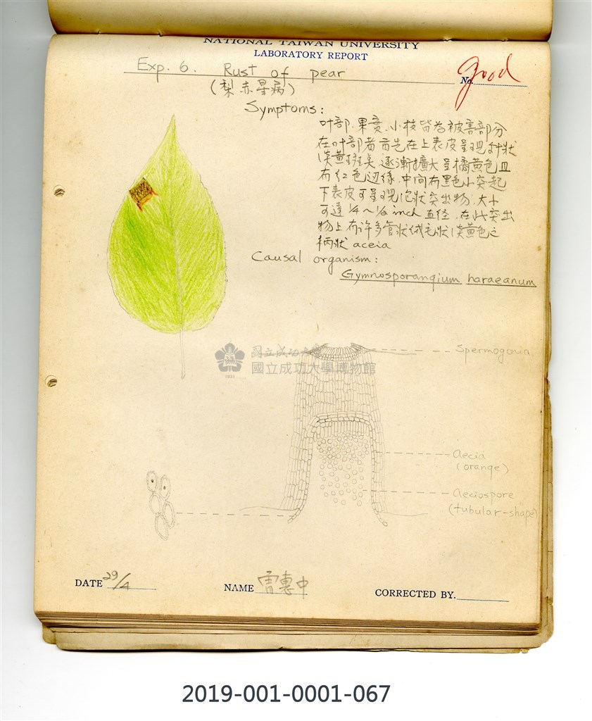 大圖瀏覽