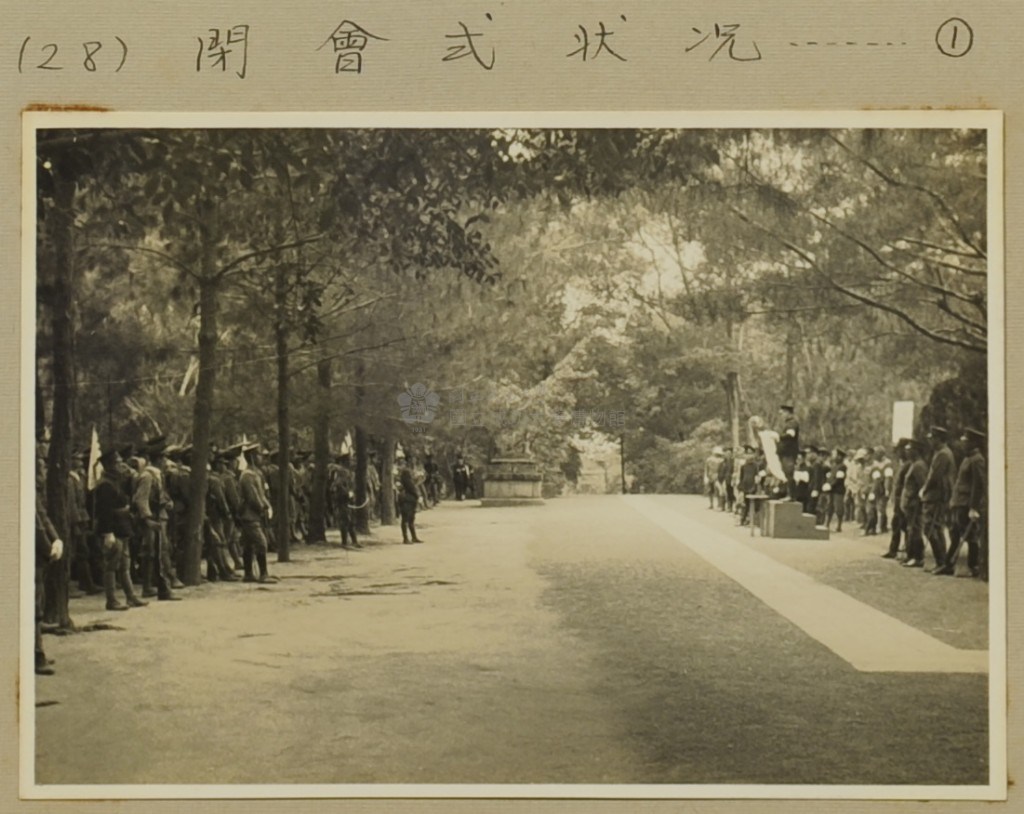 大圖瀏覽