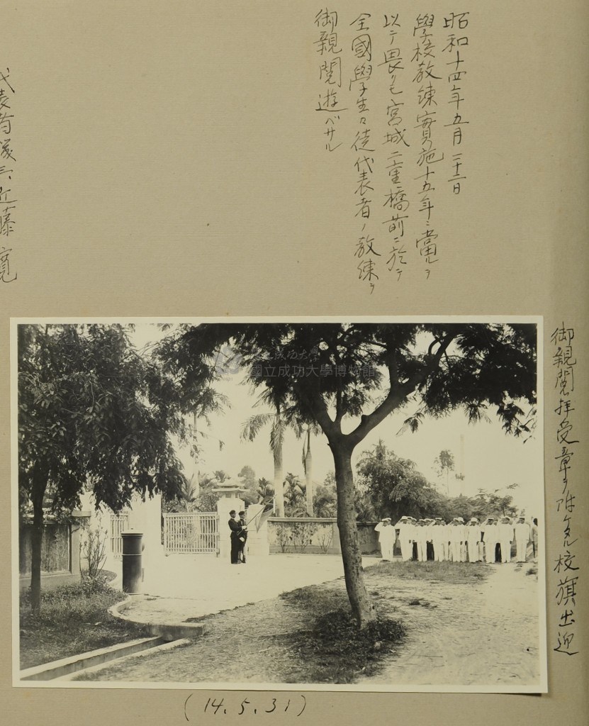 大圖瀏覽