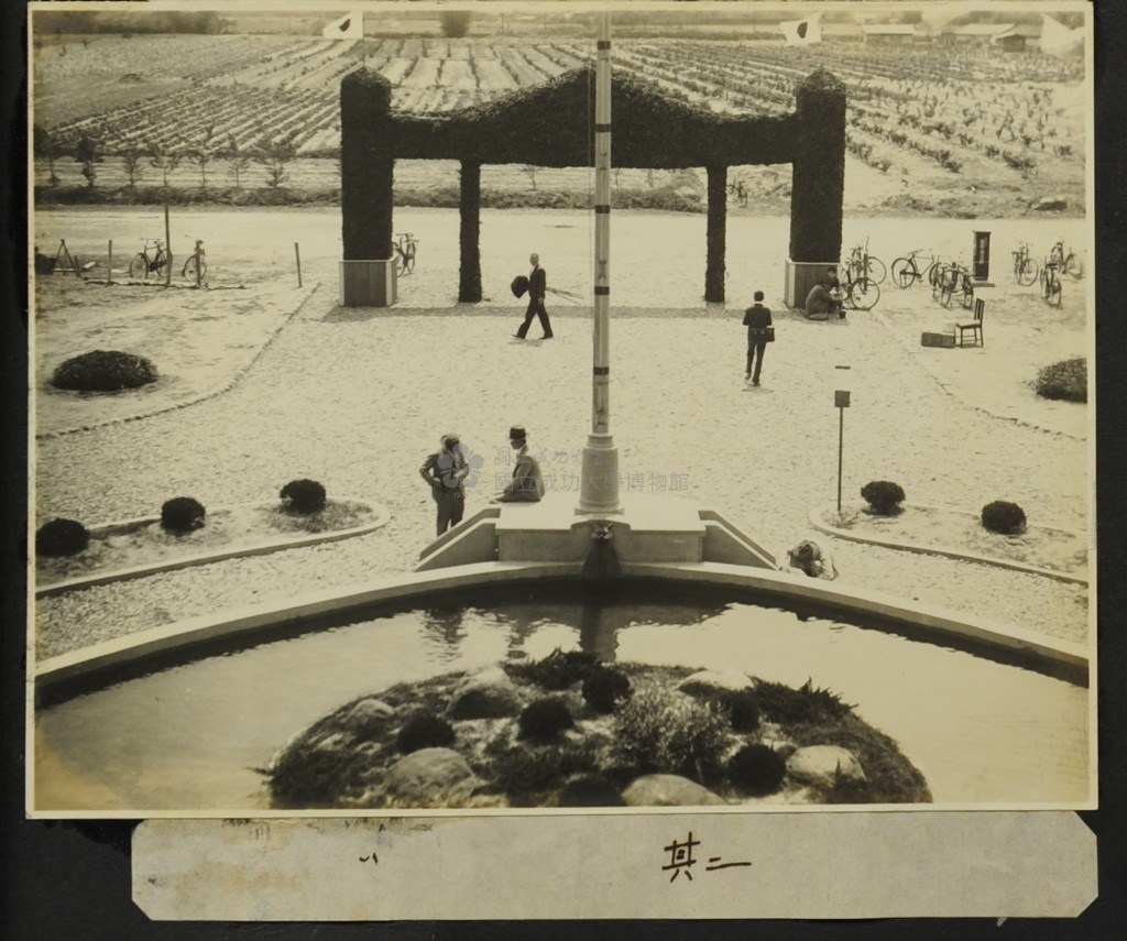 大圖瀏覽