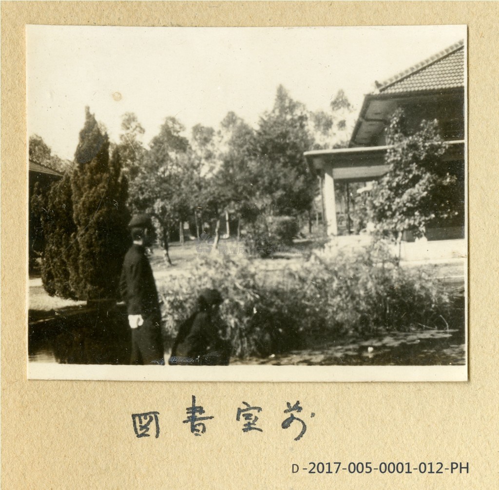 大圖瀏覽