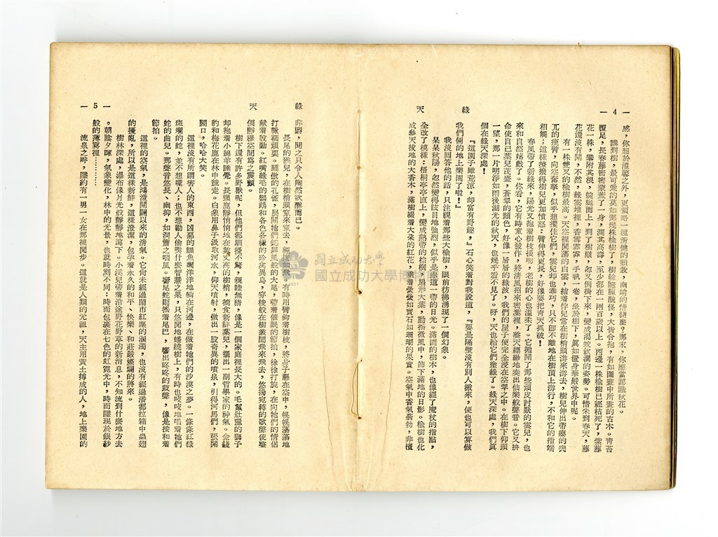 大圖瀏覽