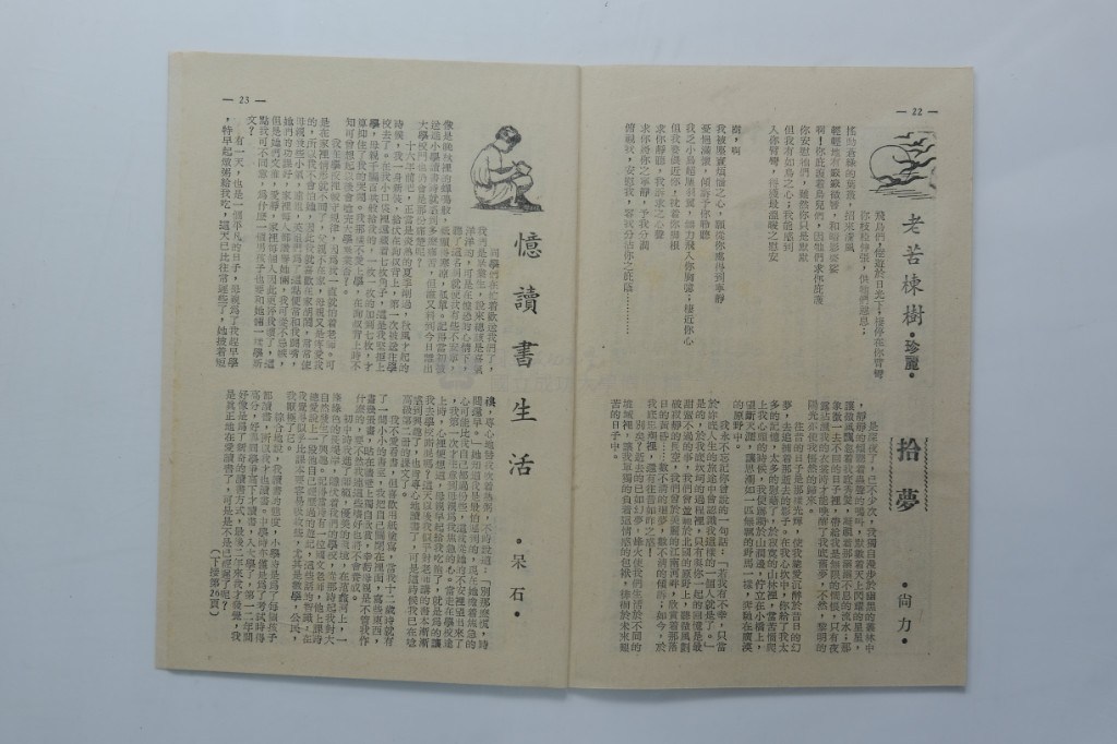 大圖瀏覽