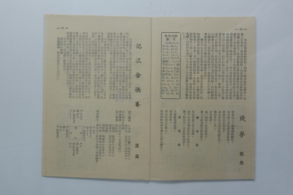 大圖瀏覽