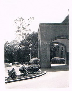 臺灣省立工學院－－教務處藏品圖，第1張