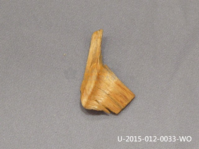 阿里山神木的樹皮藏品圖，第1張