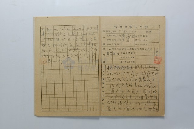 民國45年9月學生假期實習報告書藏品圖，第11張