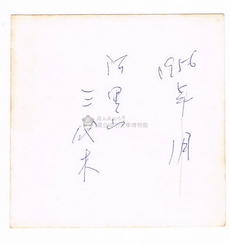 大圖瀏覽