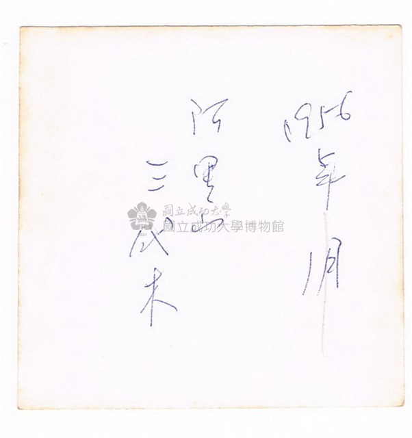 嘉義阿里山神木－－三代木藏品圖，第2張