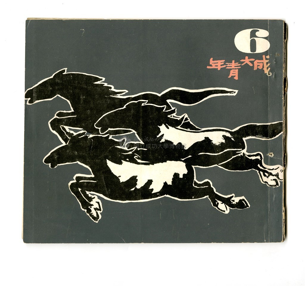 大圖瀏覽