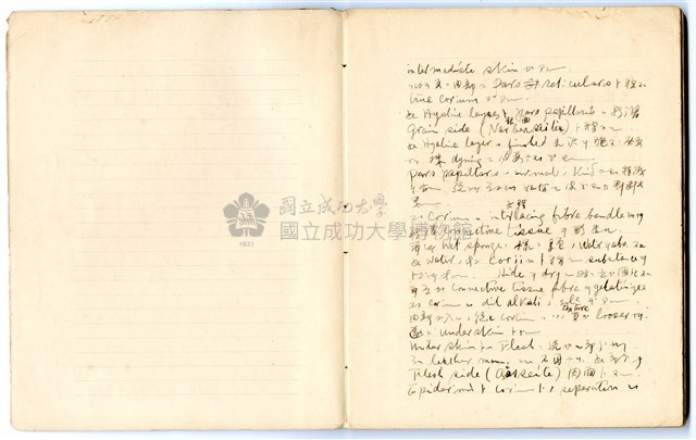 馮全裕《皮革》課堂筆記藏品圖，第4張