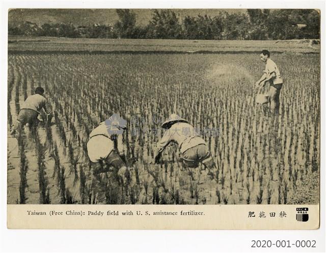 中美合作明信片〈農田灌溉〉藏品圖，第1張