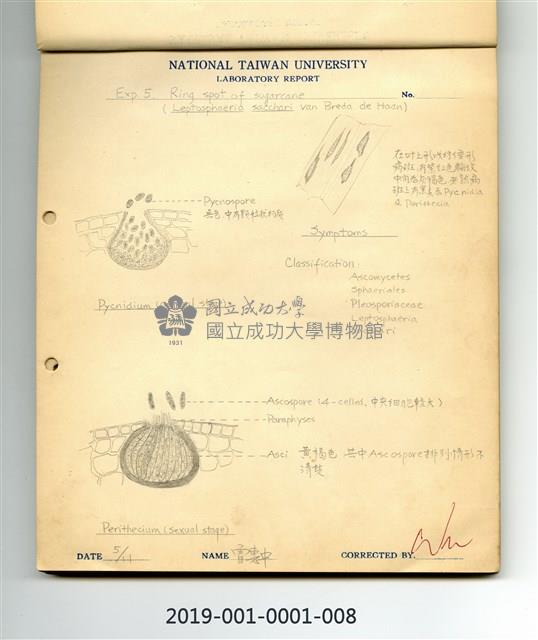 Ring spot of sugarcane Collection Image