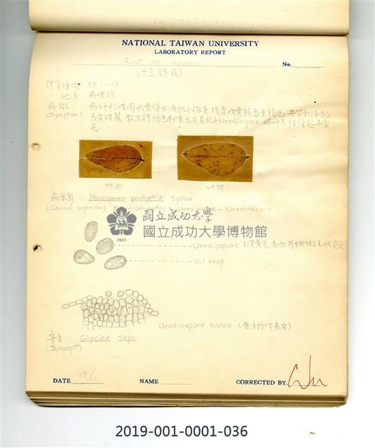 Rust of soybean Collection Image
