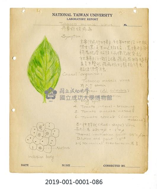 Tobacco mosaic disease Collection Image