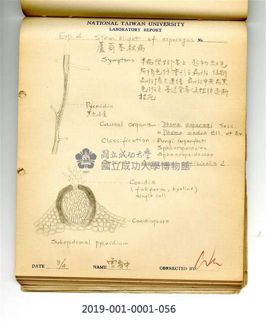 Stem blight of asparagus Collection Image