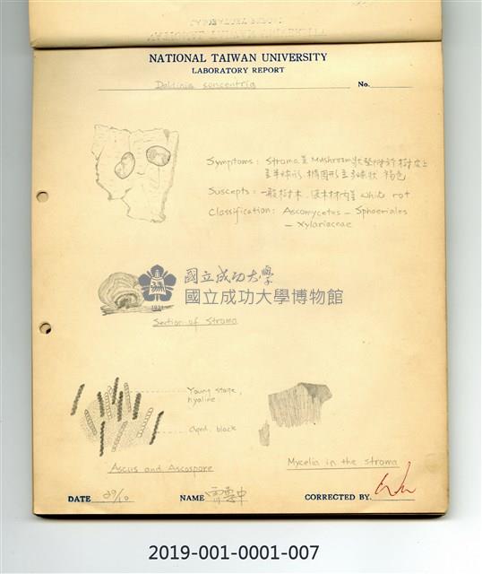 Wood decay fungi－Daldinia concentrica Collection Image